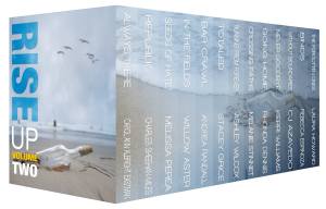 Rise Up Vol 2 With Authors