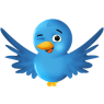 twitter-bird-2-300x300