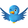 twitter-bird-2-300x300