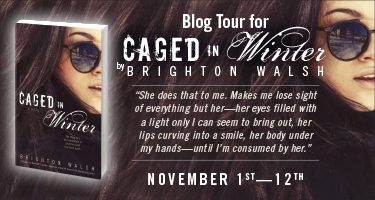PA-9705 Brighton Walsh Blog Tour Banner.indd
