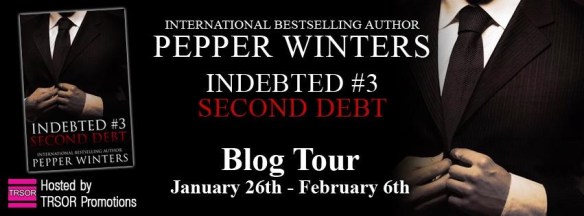 second debt blog tour