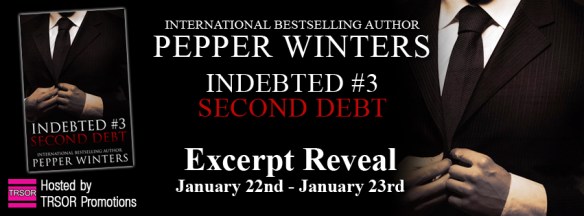 second debt excerpt reval