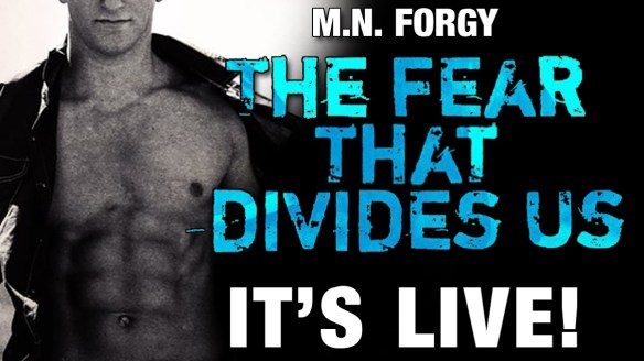 the fear that divides us live