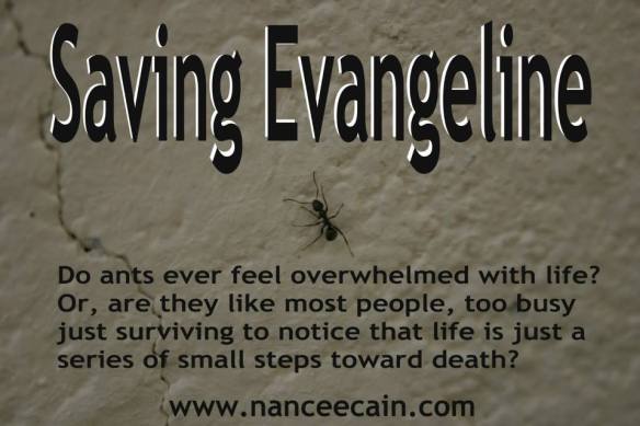 11182035_1598909017017008_8500131556993642244_n