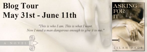 Asking for It Blog Tour Banner