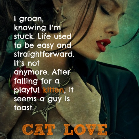 Falling for Kitten teaser Cat Love