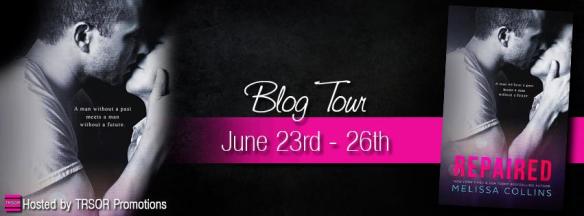 repaired blog tour