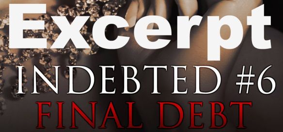 finaldebtexcerpt