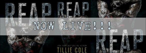 12208634_412123042320062_2680967342921049574_n