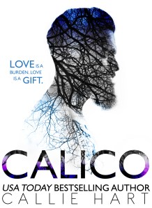 NEW CALICO COVER