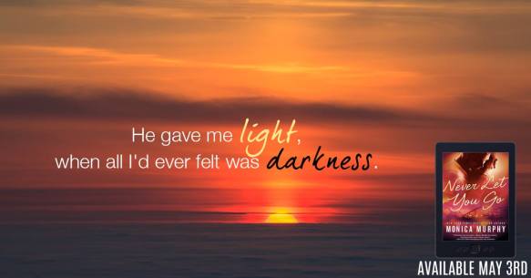 never let you go banner 2-2