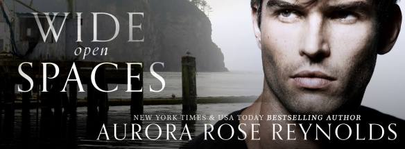 wide open spaces banner