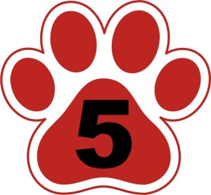 5starpaw